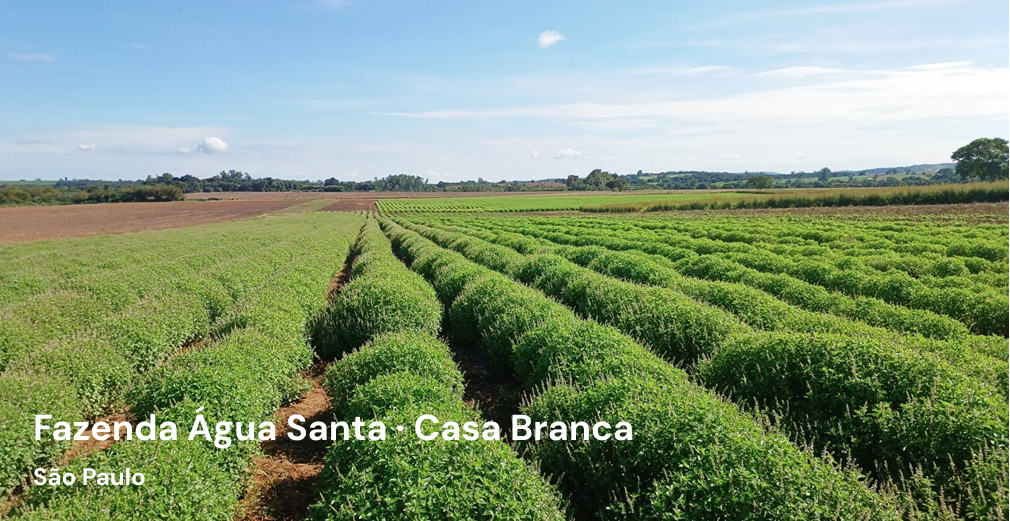 Fazenda Água Santa