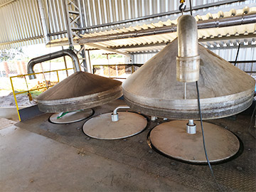 Tampas